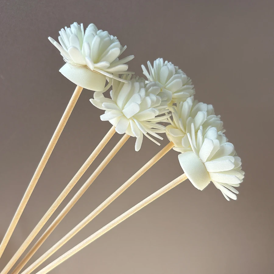 Lot de 10 bâtonnets diffuseurs - Home Fragrance Diffuser Sticks avis et prix